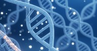 A Guide To Genetic Testing for Breast Cancer