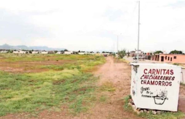 Evalúa IMSS siete terrenos para hospital