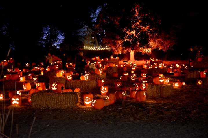 The Best Bay Area Halloween Events for 2025