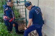 Hallan muerta a vocera comunal