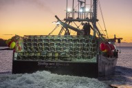Fishery officers in Nova Scotia seize more than 1,000 lobster traps, make arrests