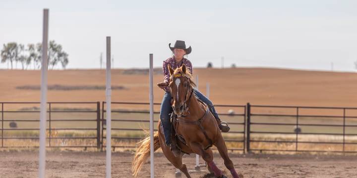 Cowboy Fall Festival in Stanley Sept. 27