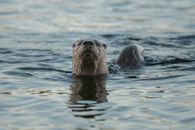 Maryland Natural Resource Photo Contest winners announced