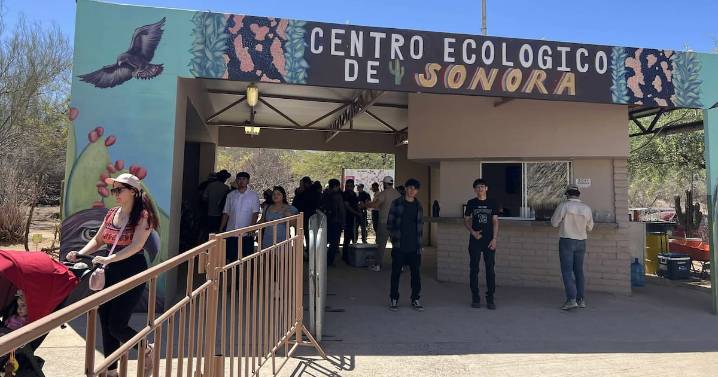 Clínica de Bienestar Animal en Centro Ecológico tiene un 95% de avance; podría estar lista para el final de este año