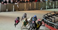 Lights out now the Dapto Dogs have had their day