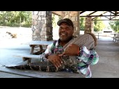 Walmart bans emotional support alligator