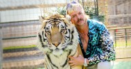 Joe Exotic Melts Down After Tiger Trainer Mauled in Cat ‘Accident’