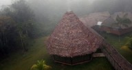 Senamhi alerta el ingreso del vigesimoprimer friaje del año en la selva peruana | temperaturas | clima 