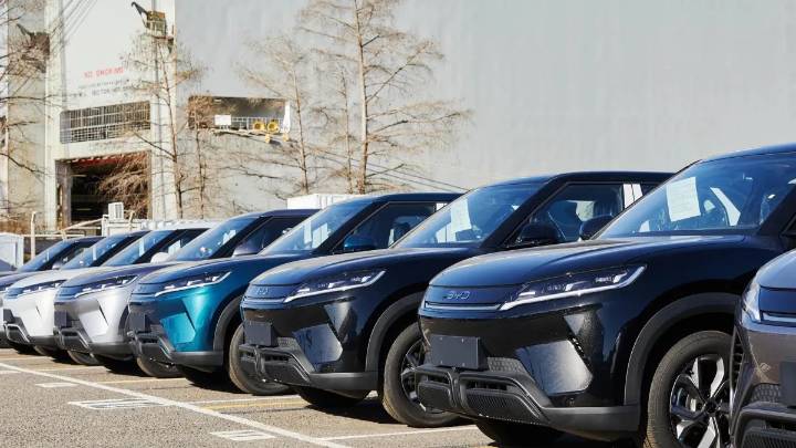 La apuesta de BYD, el gigante automotriz chino: "La preventa en Argentina superó nuestras expectativas"