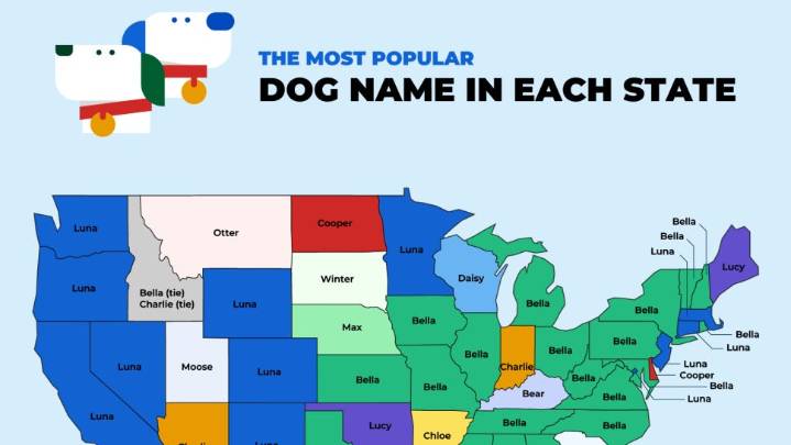 Most popular dog breeds and names in California