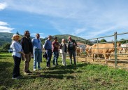La feria de Riotuerto congrega a 900 animales de 25 ganaderías