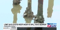 New LDWF report shows sediment, higher mortality rate on oyster beds in Big Lake