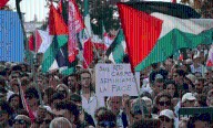 Contra el genocidio de Israel: Artistas y asistentes paralizaron el Festival Internacional de Cine de Venecia a favor de Gaza