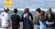 Twin of surfer killed by shark shares emotional tribute