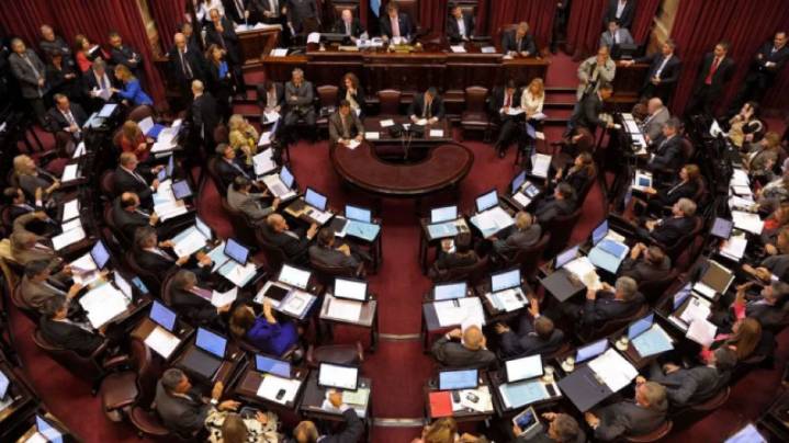 El Senado debate el veto de Milei a la Ley de Emergencia en Discapacidad y la regulación de los DNU