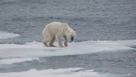 5 forecasts early climate models got right – the evidence is all around you