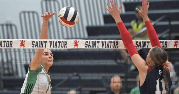 York suffers straight-sets loss at St. Viator – Shaw Local