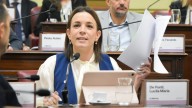 Lucila De Ponti: "Una Constitución que se parezca más a la vida cotidiana de los santafesinos"