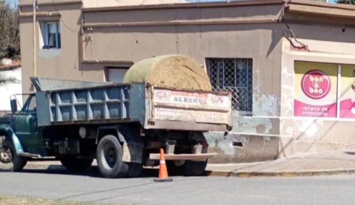 Accidenta fatal: un camión chocó y mató a un hombre de 77 años en Salsipuedes