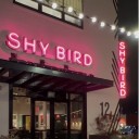 Due to a small fire, Shy Bird will be closed for a few days.