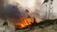 Detienen en Laxe a un vecino como presunto autor de un incendio forestal