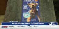 Local vet encourages pet vaccination amid rise in parvo virus