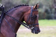 Riding High Farm to host animal education event for Jackson disabled community