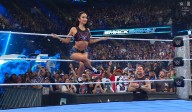 Aclamado regreso: AJ Lee vuelve a la WWE y ataca a Becky Lynch