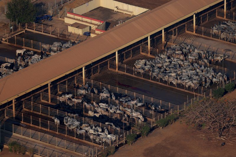 Brazil's beef exports to US to fall further in September after tariffs, industry group says