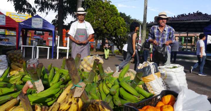 Del fogón a la plaza: el campo llega con rostro humano y una historia de amor en el mercado campesino