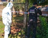 Crimen del jubilado: Investigan si los menores implicados contaron con un colaborador