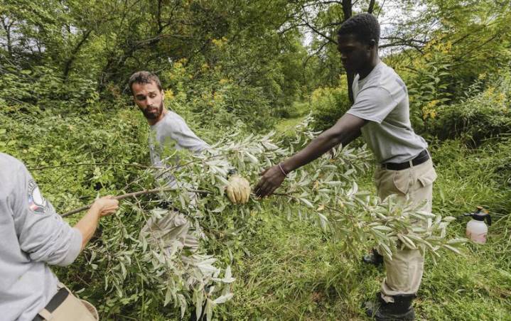 After delay, Iowa City nonprofit obtains AmeriCorps funding
