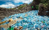 En jaque salud  y medio ambiente por plásticos de un solo uso;  impacto económico de  13mmdd anuales