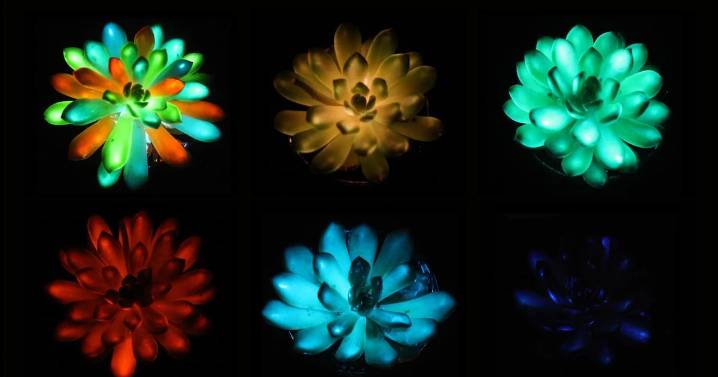 Science news: Researchers create glow-in