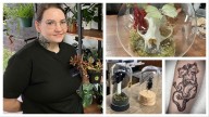 Rabbit In A Jar And Insect Taxidermy: If It’s Odd, It’s At Casper’s Metalmark Studios