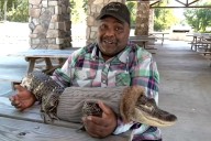 Man's Emotional Support Alligator Denied Entry to Walmart