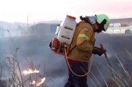 Cafayate en alerta: Bomberos combaten un incendio forestal y piden ayuda a la comunidad