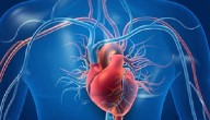 Heart Diseases Kill 8 People Every Minute In South