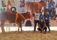 Vela pone a Cantabria en la élite de la raza limusín con su triunfo en Salamanca