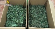 Arrestan a un hombre que se quedó sin gasolina en la Colònia de Sant Jordi con cinco plantas de marihuana en el coche