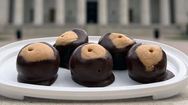 Ohio lawmakers want to make buckeye official state candy