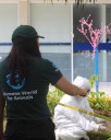 Capacitan en Aguascalientes a instituciones para combatir maltrato animal