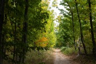 Warming trend ahead for Michigan this week