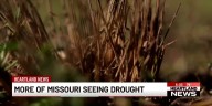 Many Missouri farmers continue to deal with drought conditions