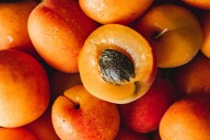 Are Apricot Seeds Safe To Eat?