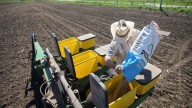 ‘Tidal wave of problems’: With harvest here, Trump’s trade war pushes some US farmers to the brink