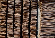 BC forestry sector "under pressure" to expand timber management
