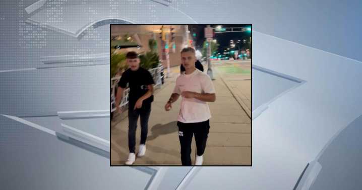 Madison police seek help identifying suspects in weekend battery incident