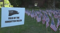 Field of the Forgotten Fallen on display in Owego