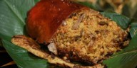 ¿Cuánta lechona realmente se vendió en el pabellón de Colombia en Japón? 